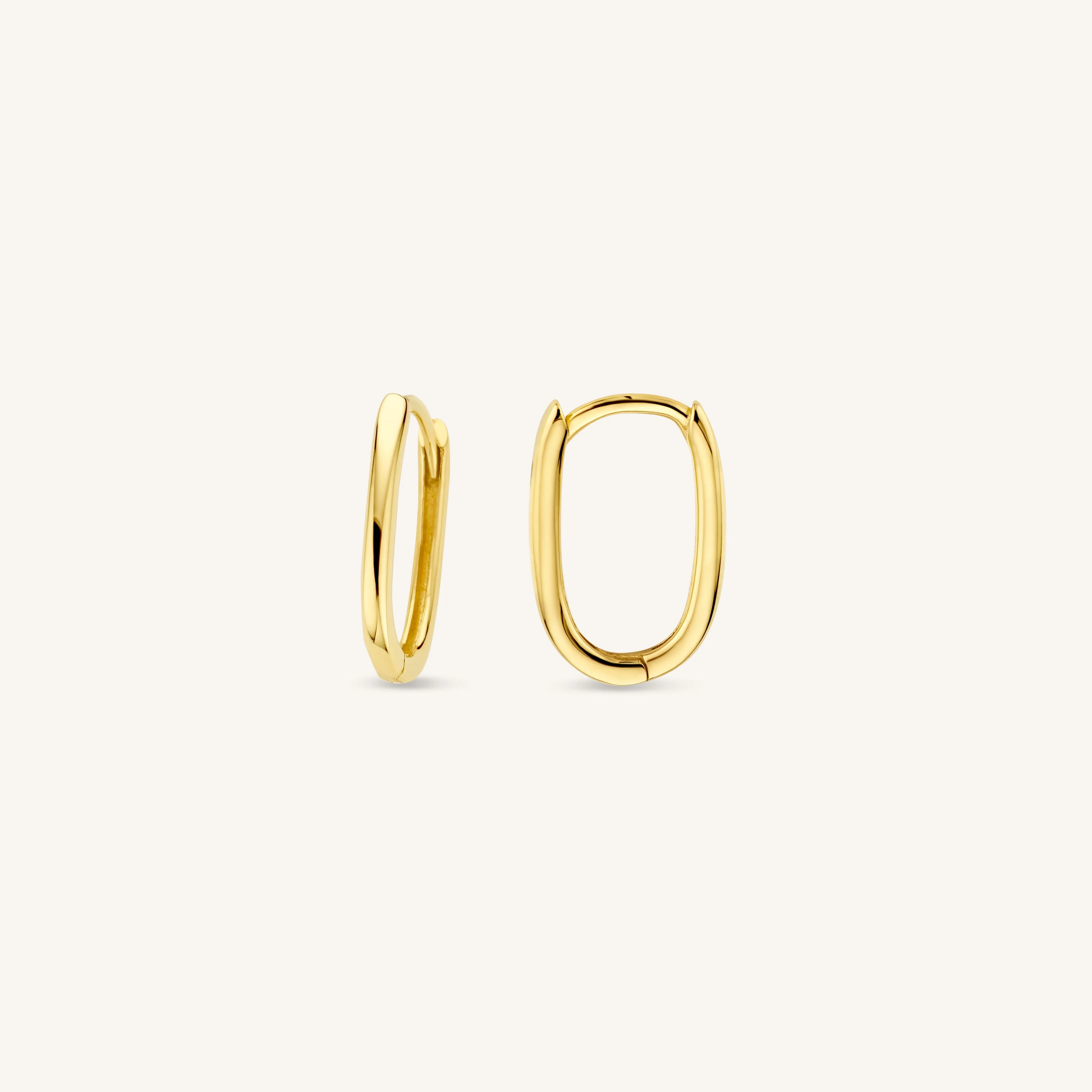 Ovate Earrings