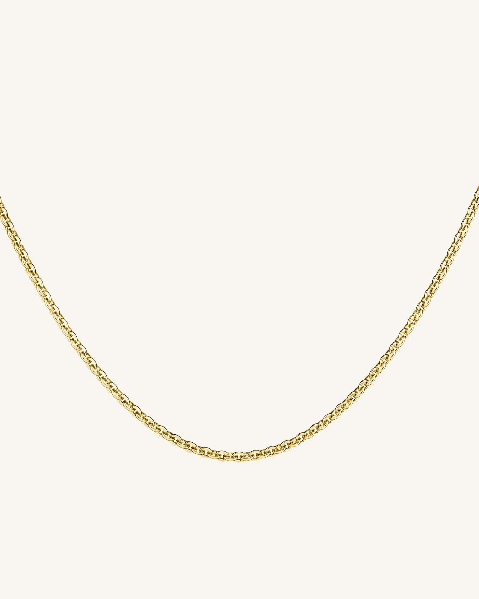 Thin Chain Necklace